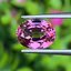 พลอย มาลายา การ์เน็ต Malaya Garnet 2.83 กะรัต (Cts.) ดิบ Unheated พร้อมใบเซอร์ พลอยแท้ อัญมณีมงคลประจําวันเกิด เครื่องประดับพลอย