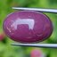 พลอย ทับทิม (Ruby Sapphire) 23.71 กะรัต (Cts.) ดิบ พลอยแท้ อัญมณีมงคลประจําวันเกิด เครื่องประดับพลอย