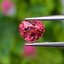 พลอย ซองเจีย ชมพูอมส้ม (Orangish Pink Sapphire) 1.02 กะรัต (Cts.) พลอยแท้ อัญมณีมงคลประจําวันเกิด เครื่องประดับพลอย