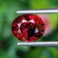 พลอย โรโดไลต์ กาเน็ท Rhodolite Garnet 3.00 กะรัต Cts.พลอยแท้ อัญมณีมงคลประจําวันเกิด เครื่องประดับพลอย