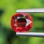 พลอย ทับทิม ซองเจีย Songea Ruby Sapphire 1.00 กะรัต (Cts.) พลอยแท้ อัญมณีมงคลประจําวันเกิด เครื่องประดับพลอย