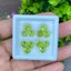 พลอย เพอริดอต Peridot 11.49 กะรัต (Cts.) 10 เม็ด (pcs.) พลอยแท้ อัญมณีมงคลประจําวันเกิด เครื่องประดับพลอย