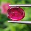 พลอย ทับทิม Ruby sapphire 2.69 กะรัต (Cts.) พลอยแท้ อัญมณีมงคลประจําวันเกิด เครื่องประดับพลอย