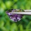 พลอย อเมทิส Amethyst 9.20 กะรัต (Cts.) พลอยแท้ อัญมณีมงคลประจําวันเกิด เครื่องประดับพลอย