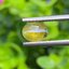 พลอย ตาแมว คริโซเบริล Cat eye Chrysoberyl 1.10 กะรัต (Cts.)