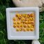 พลอย บุษราคัม yellow sapphire 5.11 กะรัต (Cts.) 28 เม็ด (Pcs.) พลอยแท้ อัญมณีมงคลประจําวันเกิด เครื่องประดับพลอย