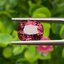 พลอย สปิเนล (Spinel) 4.05 กะรัต (Cts.) ดิบ (Unheated) พร้อมใบเซอร์ พลอยแท้ อัญมณีมงคลประจําวันเกิด เครื่องประดับพลอย