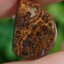พลอย โบลเดอร์ โอปอล ออสเตรเลีย Australian Boulder Opal 5.22 กะรัต (Cts.) พลอยแท้ อัญมณีมงคลประจําวันเกิด เครื่องประดับพลอย