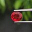พลอย ทับทิม ซองเจีย Songea Ruby Sapphire 1.13 กะรัต (Cts.) พร้อมใบเซอร์ พลอยแท้ อัญมณีมงคลประจําวันเกิด เครื่องประดับพลอย