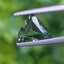 พลอย เขียวส่อง Green Sapphire 1.09 กะรัต (Cts.) พลอยแท้ อัญมณีมงคลประจําวันเกิด เครื่องประดับพลอย