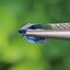 พลอย ไพลิน (Blue Sapphire) 1.06 กะรัต (Cts.) พลอยแท้ อัญมณีมงคลประจําวันเกิด เครื่องประดับพลอย