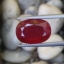 พลอย ทับทิม Ruby sapphire 12.50 กะรัต (Cts.) พลอยแท้ อัญมณีมงคลประจําวันเกิด เครื่องประดับพลอย