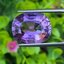 พลอย อเมทิส Amethyst 12.55 กะรัต (Cts.)