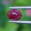 พลอย ทับทิม สยาม (Siam Ruby Sapphire) 0.92 กะรัต (Cts.) พลอยแท้ อัญมณีมงคลประจําวันเกิด เครื่องประดับพลอย