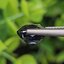 พลอย โคบอลต์ สปิเนล (Cobalt Spinel) 3.28 กะรัต (Cts.) ดิบ Unheated พร้อมใบเซอร์ พลอยแท้ อัญมณีมงคลประจําวันเกิด เครื่องประดับพลอย