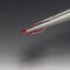 พลอย ทับทิม Ruby sapphire 2.24 กะรัต ดิบ Unheated พร้อมใบเซอร์ พลอยแท้ อัญมณีมงคลประจําวันเกิด เครื่องประดับพลอย