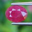 พลอย ทับทิม พม่า (Burmese Ruby Sapphire) 1.72 กะรัต พลอยแท้ อัญมณีมงคลประจําวันเกิด เครื่องประดับพลอย