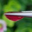 พลอย ทับทิม (Ruby Sapphire) 3.44 กะรัต (Cts.) พลอยแท้ อัญมณีมงคลประจําวันเกิด เครื่องประดับพลอย