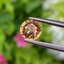 พลอย เพทาย (Zircon) 1.65 กะรัต (Cts.) พลอยแท้ อัญมณีมงคลประจําวันเกิด เครื่องประดับพลอย