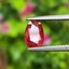 พลอย ทับทิม สยาม (Siam Ruby Sapphire) 1.42 กะรัต (Cts.) พร้อมใบเซอร์ พลอยแท้ อัญมณีมงคลประจําวันเกิด เครื่องประดับพลอย