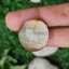 โป่งข่าม ควอตซ์ Rutilated Quartz 61.87 กะรัต Cts. พลอยแท้ อัญมณีมงคลประจําวันเกิด เครื่องประดับพลอย