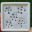 พลอย ขาว ไวท์ แซฟไฟร์ White Sapphire 31 เม็ด 3.67 กะรัต (Cts.)พลอยแท้ อัญมณีมงคลประจําวันเกิด เครื่องประดับพลอย