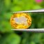 พลอย บุษราคัม yellow sapphire 1.51 กะรัต (Cts.) พลอยแท้ อัญมณีมงคลประจําวันเกิด เครื่องประดับพลอย
