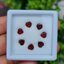 พลอย โกเมน Garnet 7 เม็ด (pcs.) 3.54 กะรัต (Cts.) พลอยแท้ อัญมณีมงคลประจําวันเกิด เครื่องประดับพลอย