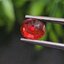 พลอย ทับทิม ซองเจีย Songea Ruby Sapphire 1.63 กะรัต (Cts.) พร้อมใบเซอร์ พลอยแท้ อัญมณีมงคลประจําวันเกิด เครื่องประดับพลอย