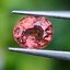 พลอย ทัวร์มารีน (Tourmaline) 0.68 กะรัต (Cts.) อัญมณีมงคลประจําวันเกิด เครื่องประดับพลอย