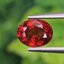 พลอย สเปสซาร์ไทต์ Spessartite Garnet 1.44 กะรัต Cts.พลอยแท้ อัญมณีมงคลประจําวันเกิด เครื่องประดับพลอย