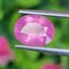 พลอย ชมพู พิ้ง แซฟไฟร์ Pink Sapphire 2.55 กะรัต (Cts.) พลอยแท้ อัญมณีมงคลประจําวันเกิด เครื่องประดับพลอย