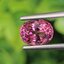 พลอย ทัวร์มารีน (Tourmaline) 1.63 กะรัต (Cts.) อัญมณีมงคลประจําวันเกิด เครื่องประดับพลอย