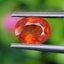 พลอย บุษราคัม Yellow Sapphire 0.95 กะรัต (Cts.) พลอยแท้ อัญมณีมงคลประจําวันเกิด เครื่องประดับพลอย