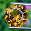 พลอย ซิทริน Citrine 10.03 กะรัต (Cts.) พลอยแท้ อัญมณีมงคลประจําวันเกิด เครื่องประดับพลอย