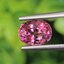 พลอย ทัวร์มารีน (Tourmaline) 1.63 กะรัต (Cts.) อัญมณีมงคลประจําวันเกิด เครื่องประดับพลอย