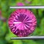 พลอย ชมพู พิ้งค์ โทแพซ Pink Topaz 7.35 กะรัต พลอยแท้ อัญมณีมงคลประจําวันเกิด เครื่องประดับพลอย