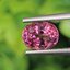 พลอย ทัวร์มารีน (Tourmaline) 1.63 กะรัต (Cts.) อัญมณีมงคลประจําวันเกิด เครื่องประดับพลอย