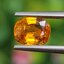พลอย บุษราคัม yellow sapphire 1.26 กะรัต (Cts.) พลอยแท้ อัญมณีมงคลประจําวันเกิด เครื่องประดับพลอย