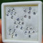 พลอย ขาว ไวท์ แซฟไฟร์ White Sapphire 31 เม็ด 3.67 กะรัต (Cts.)พลอยแท้ อัญมณีมงคลประจําวันเกิด เครื่องประดับพลอย