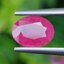 พลอย ทับทิม พม่า (Burmese Ruby Sapphire) 1.47 กะรัต พลอยแท้ อัญมณีมงคลประจําวันเกิด เครื่องประดับพลอย