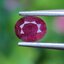 พลอย ทับทิม สยาม (Siam Ruby Sapphire) 0.92 กะรัต (Cts.) พลอยแท้ อัญมณีมงคลประจําวันเกิด เครื่องประดับพลอย