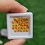 พลอย บุษราคัม yellow sapphire 5.11 กะรัต (Cts.) 28 เม็ด (Pcs.) พลอยแท้ อัญมณีมงคลประจําวันเกิด เครื่องประดับพลอย