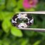 พลอย สปิเนล Spinel 1.50 กะรัต (Cts.) พลอยแท้ อัญมณีมงคลประจําวันเกิด เครื่องประดับพลอย