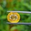 พลอย บุษราคัม Yellow Sapphire 3.95 กะรัต (Cts.) พลอยแท้ อัญมณีมงคลประจําวันเกิด เครื่องประดับพลอย