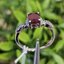 แหวน พลอย ทับทิม (Size) 56 Ruby Sapphire Ring
