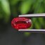 พลอย ทับทิม ซองเจีย Songea Ruby Sapphire 1.07 กะรัต (Cts.) พร้อมใบเซอร์ พลอยแท้ อัญมณีมงคลประจําวันเกิด เครื่องประดับพลอย