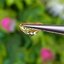 พลอย คริโซเบริล (Chrysoberyl) 1.39 กะรัต (Cts.) พลอยแท้ อัญมณีมงคลประจําวันเกิด เครื่องประดับพลอย