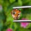 พลอย เพทาย (Zircon) 1.07 กะรัต (Cts.) พลอยแท้ อัญมณีมงคลประจําวันเกิด เครื่องประดับพลอย