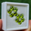 พลอย เพอริดอต Peridot 9.61 กะรัต (Cts.) 10 เม็ด (pcs.) พลอยแท้ อัญมณีมงคลประจําวันเกิด เครื่องประดับพลอย